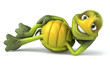 Tortue