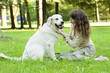 Girl with the golden retriever in the park