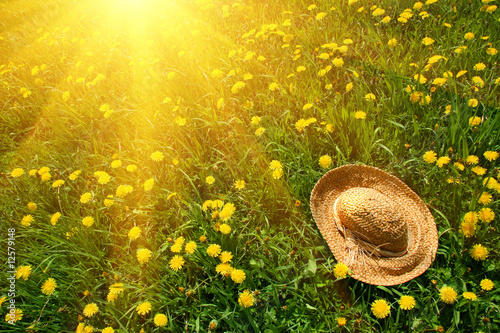 Photo: Rays of sun on green grass with straw hat Rays of sun on green grass with straw hat