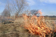 Foto: drought drought