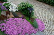 lifestyle garden