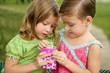 Two little twin girls find a dollar note inside a box