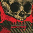 vector grunge background with skull vector grunge background with skull