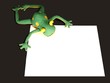 Präsentation mit Frosch