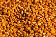 Nutritional Seeds