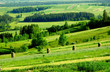 hillside view hillside view