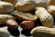 Peanuts and Shells