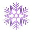 Etoile de neige