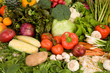 Vibrant Produce Closeup Vibrant Produce Closeup