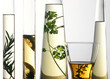 Front view of an alcohol glass and glass containers