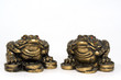 Toad with a coin in a mouth separately on a white background