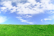 Spring background