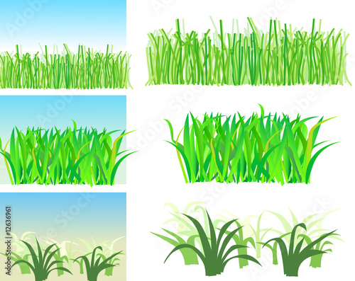 Vektor: Set. Gräser / grasses Set. Gräser / grasses