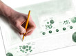 Foto: drawing drawing