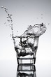 splash