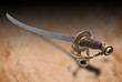 French officer saber (sabre).