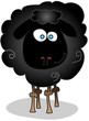 black sheep isolated black sheep isolated