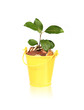 Success in business Success in business