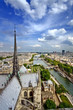 View on Paris from Notre Dame, France