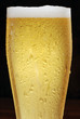 cerveja