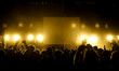 Cheering crowd at concert Cheering crowd at concert