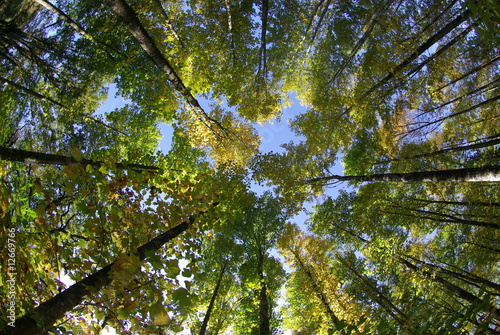 fototapeta 12669766