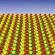 Tulpenfeld / tulip field