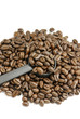 Coffee Spoon
