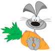 funny rabbit