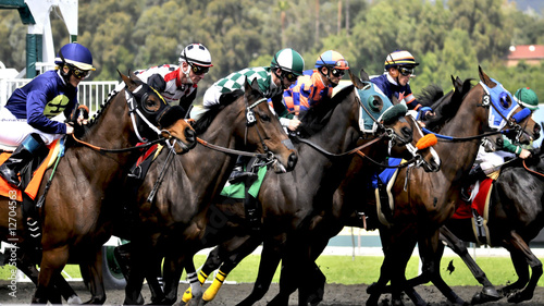 Photo: Out of the Gate Out of the Gate