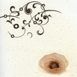 memory_pages