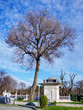 Kucuksu park