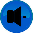 Speaker web button