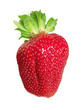 Strawberry close up isolated