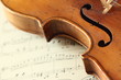 part of an antique violin