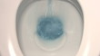 Flushing toilet with toilet paper Flushing toilet with toilet paper