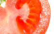 frozen fresh tomato