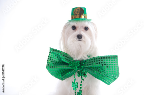 A St. Patrick's Day Leprecon