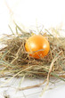 Foto: osterei im stroh osterei im stroh
