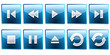 Player Icons
