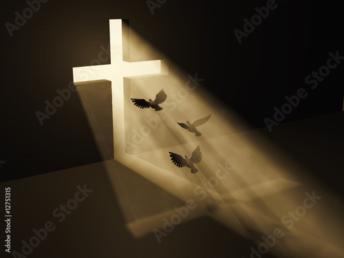 birds fly to god from dark