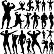 gym fitness vector gym fitness vector