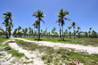 Beach in Porto de Galinhas, Brazil Beach in Porto de Galinhas, Brazil