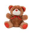 Teddy Bear in White Background Teddy Bear in White Background