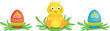 Chick with Eggs