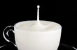 Goccia di Latte 5