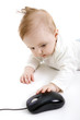 Baby with computer mouse Baby with computer mouse