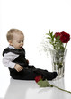 Baby Boy Playing with Vase of Red Roses