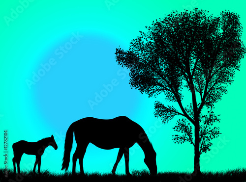 Illustration: Cavalli al pascolo Cavalli al pascolo