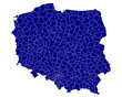 map of poland - all districts - vector